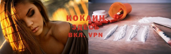 ECSTASY Кукмор