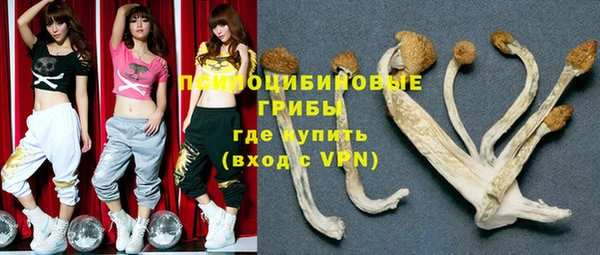 ECSTASY Кукмор