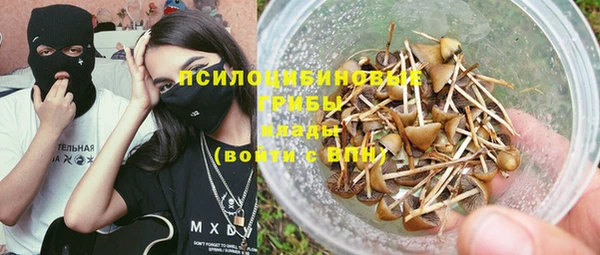 ECSTASY Кукмор
